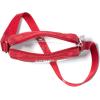 imageBaggallini Stadium Clear Bryant CrossbodyRed