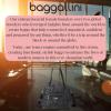 imageBaggallini Overnight Expandable Laptop Tote  Lightweight Travel Bag for WomenMidnight Blossom