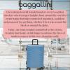 imageBaggallini Set Wave 22 4 Wheel Hardside CarryOn Luggage  Lightweight Carry On Suitcase with WheelsMist Hardside
