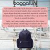 imageBaggallini Essential Laptop Backpack  16x12 Inch Travel Backpack with 16quot Laptop Sleeve  Lightweight Luggage BackpackCadet Navy