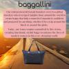 imageBaggallini Carryall Expandable Lightweight Travel Tote 22quot Packable Folding Compact Nylon Washable Weekender wLuggage SleeveFrench Navy