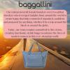 imageBaggallini Carryall Expandable Lightweight Travel Tote 22quot Packable Folding Compact Nylon Washable Weekender wLuggage SleeveMist