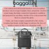 imageBaggallini Soho Backpack  Travel Laptop Backpack for Women  Lightweight WaterResistant Luggage Bag French NavyBlack Cheetah