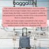 imageBaggallini Expandable Underseat CarryOn  Lightweight Travel Luggage Carry On Weekender with WheelsMist