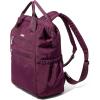imageBaggallini City Scape Backpack  15quotx11quot Lightweight Work Travel Bag wLuggage Sleeve ampamp RFIDMulberry
