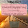 imageBaggallini Carryall Expandable Lightweight Travel Tote 22quot Packable Folding Compact Nylon Washable Weekender wLuggage SleeveThyme