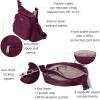 imageBaggallini Securtex AntiTheft Crossover Crossbody Bag for Travel 11W x 85H RFID Builtin Wallet Locking ZippersMulberry